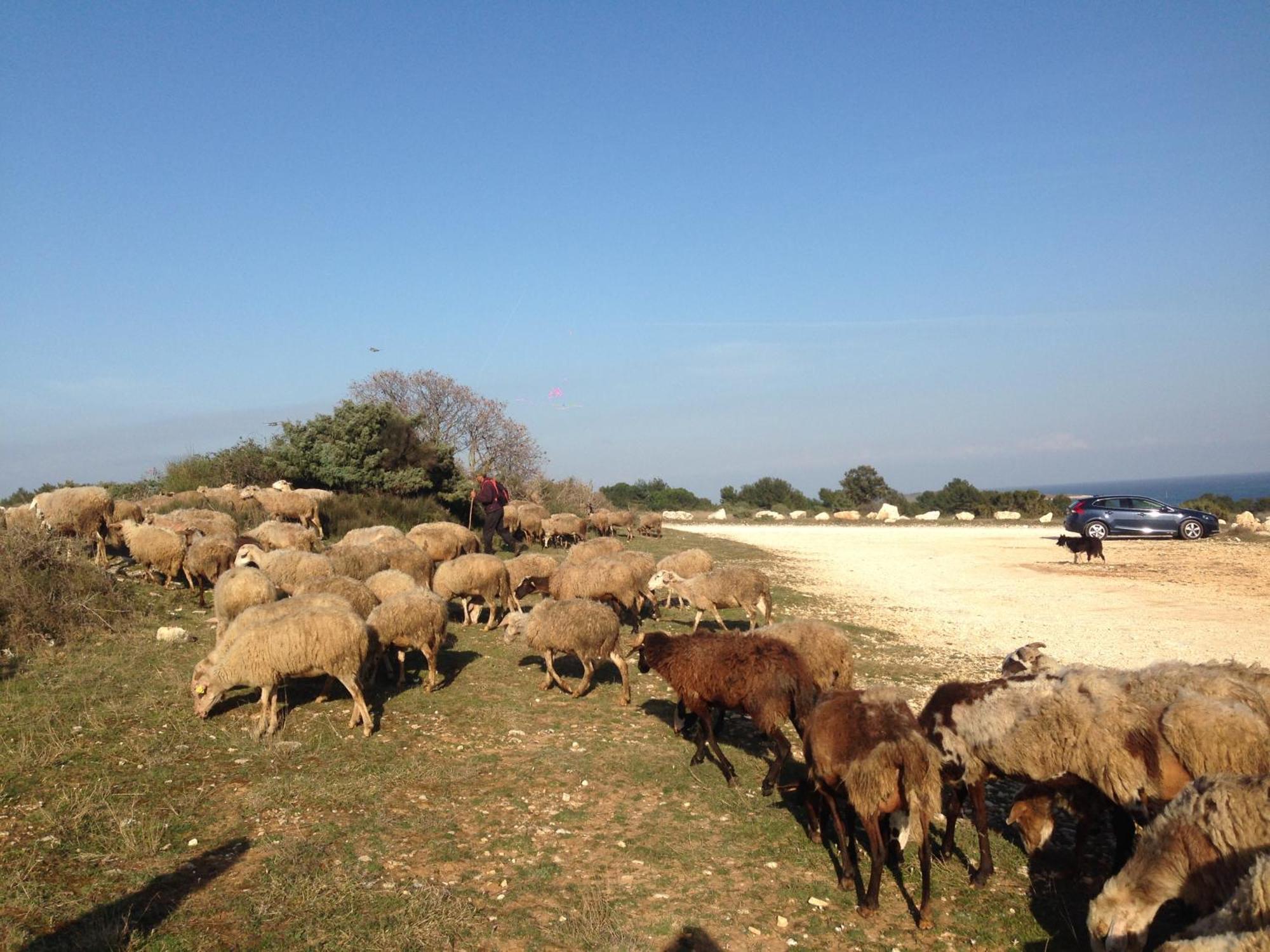 Premantura,Natura,Rt Kamenjak Εξωτερικό φωτογραφία